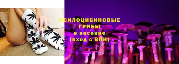 шишки Семикаракорск