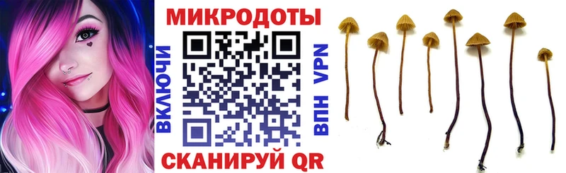 Галлюциногенные грибы Psilocybe  hydra рабочий сайт  Перевоз 